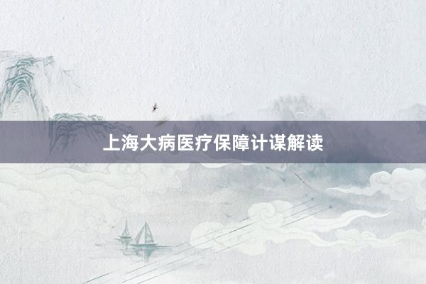 上海大病医疗保障计谋解读